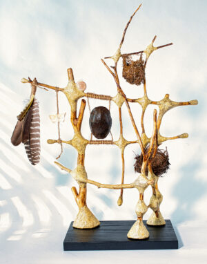 Oblation (Cedar with turtle shell, snail shell, two nests, bone and found feathers)