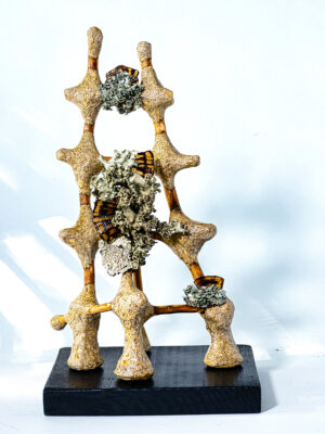 Oblation (Willow with lichen and turtle shell plates)