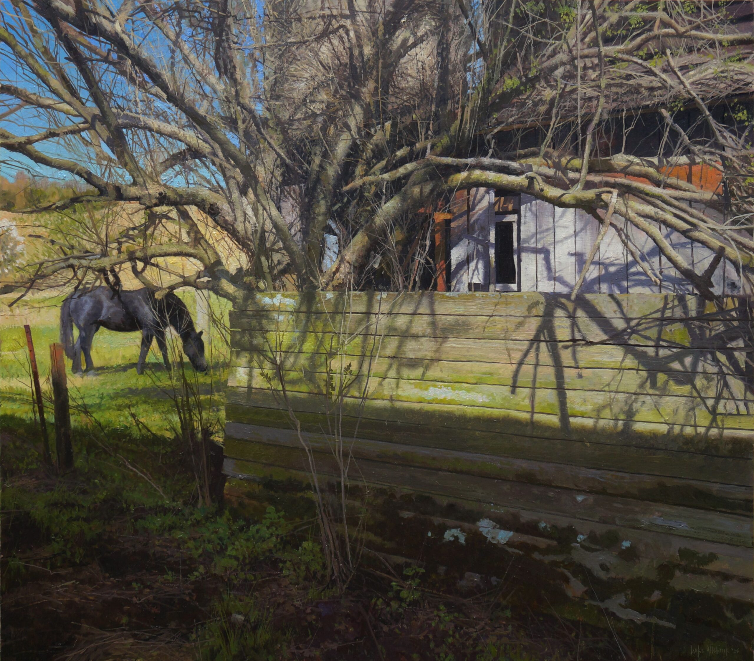 Afternoon Shadows on a Barn Wall