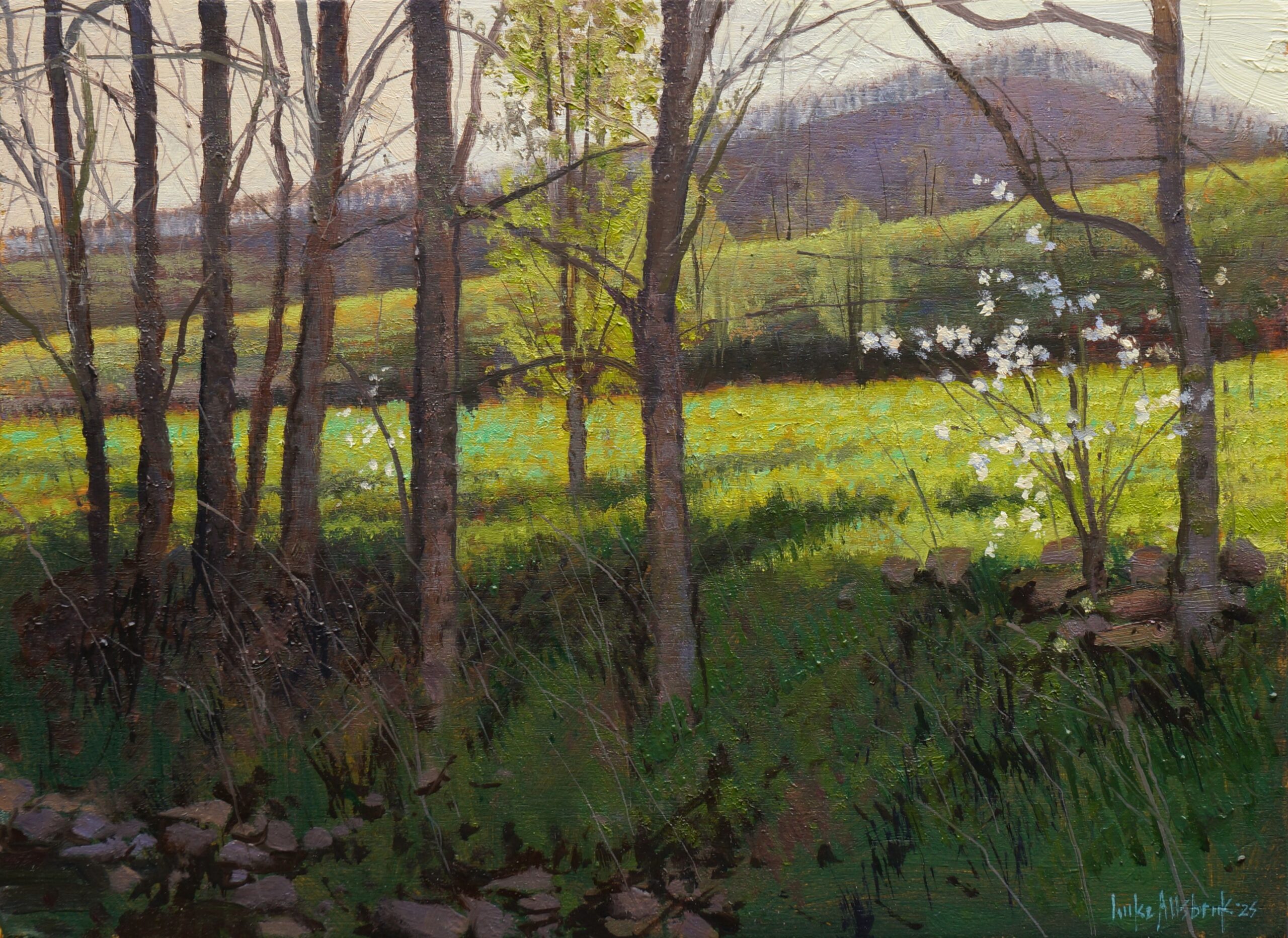 Evening Treeline Pear Blossom