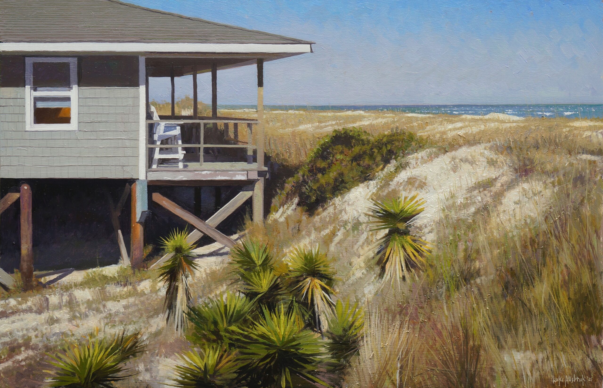 Topsail Spanish Dagger